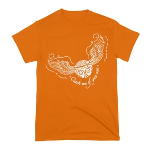 Arte Camiseta Harry Potter Golden Snitch